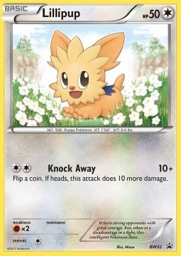 Lillipup BW Black Star Promos #52/101
