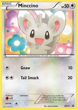 Minccino BW Black Star Promos #13/101
