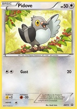 Pidove BW Black Star Promos #15/101