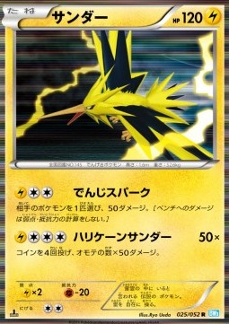 Zapdos Hail Blizzard #25