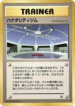 Cerulean City Gym Hanada City Gym #