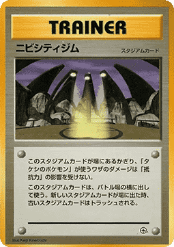 Pewter City Gym Nivi City Gym #