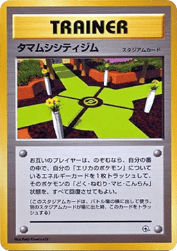 Celadon City Gym Tamamushi City Gym #