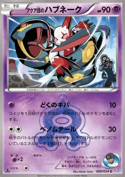 Team Aqua's Seviper Magma Gang VS Aqua Gang: Double Crisis #9
