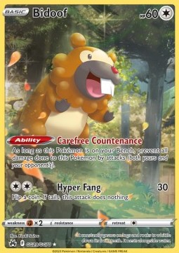 Bidoof Pokemon Crown Zenith #GG29/159