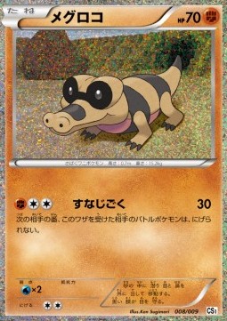 Sandile Collection Sheet Journey Partners #008/009