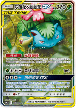 Venusaur & Snivy GX Striking Competition #063