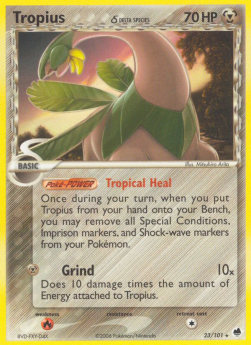 Tropius Pokemon Dragon Frontiers #23/101