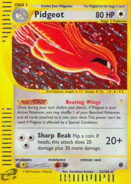 Pidgeot Pokemon Expedition #23