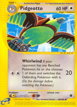 Pidgeotto Pokemon Expedition #88