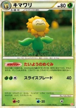 Sunflora HeartGold Collection #10
