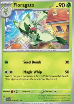Floragato Paldea Evolved #014/193