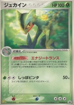 Sceptile PCG Promos #119