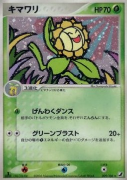 Sunflora Golden Sky, Silvery Ocean #9
