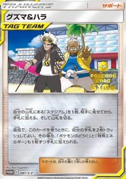 Guzma & Hala Sword & Shield Promos #87