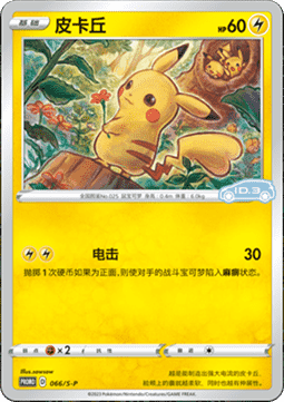 Pikachu Sword & Shield Simplified Chinese Promos #066
