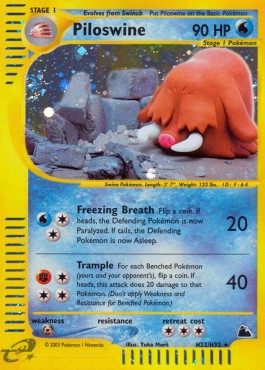 Piloswine Skyridge #H22/H32