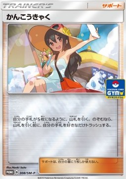 Sightseer Sun & Moon Promos #308