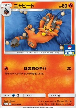 Torracat Sun & Moon Promos #313