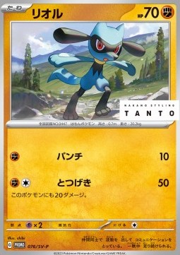 Riolu Scarlet & Violet Promos #076