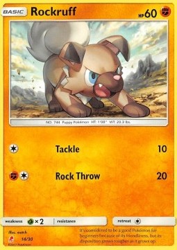 Rockruff SM Trainer Kit: Lycanroc & Alolan Raichu #14