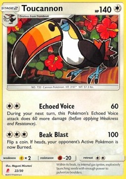 Toucannon SM Trainer Kit: Lycanroc & Alolan Raichu #22