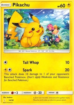 Pikachu SM Trainer Kit: Lycanroc & Alolan Raichu #14
