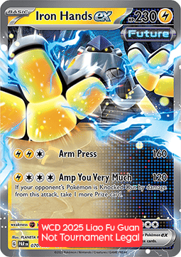 Iron Hands ex WCD 2025 #25070