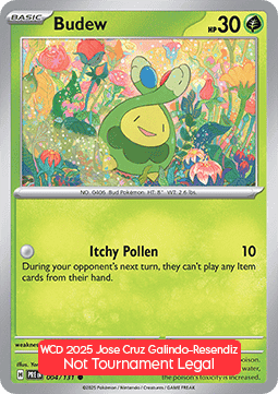 Budew WCD 2025 #25004