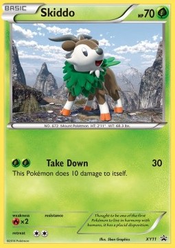 Skiddo XY Black Star Promos #11/211