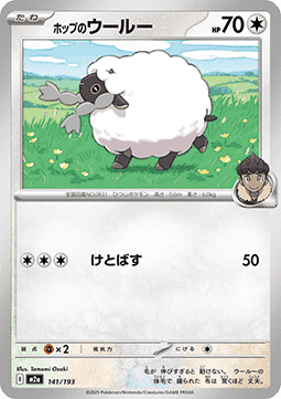 Hop's Wooloo MEGA Dream ex #141