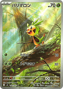 Chespin Ninja Spinner #84