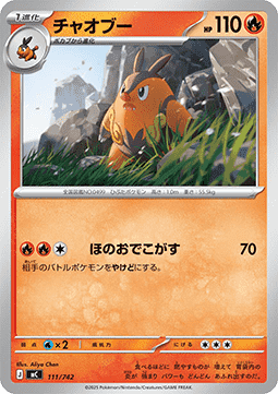 Pignite MEGA Start Deck 100 Battle Collection #111