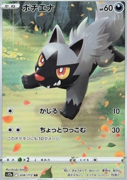 Poochyena VSTAR Universe #208