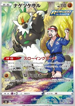 Passimian VMAX Climax #203