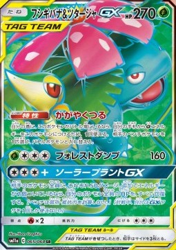 Venusaur & Snivy GX Remix Bout #065
