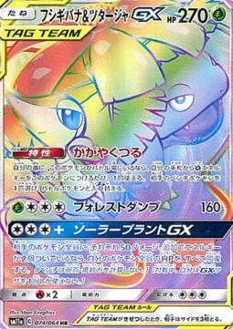 Venusaur & Snivy GX Remix Bout #074