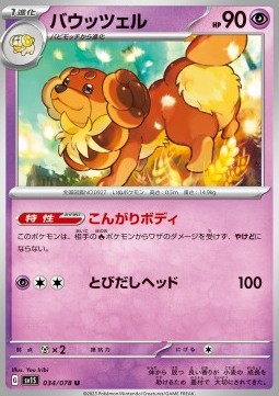 Dachsbun Scarlet ex #34