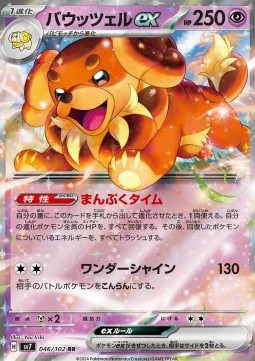 Dachsbun ex Stellar Miracle #46