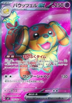 Dachsbun ex Stellar Miracle #119