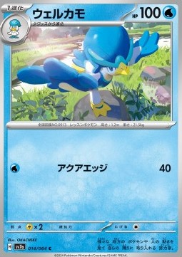 Quaxwell Paradise Dragona #14