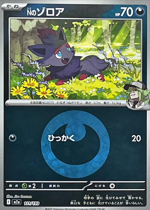 N's Zorua MEGA Dream ex: Additionals #111