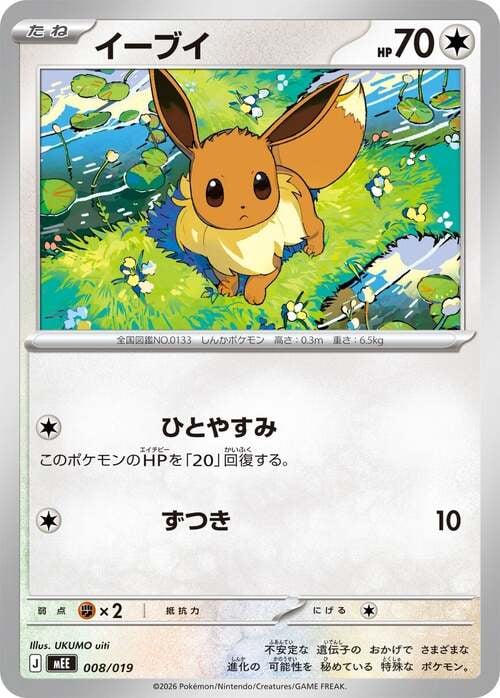 Eevee MEGA Starter Set Eevee ex #008/019